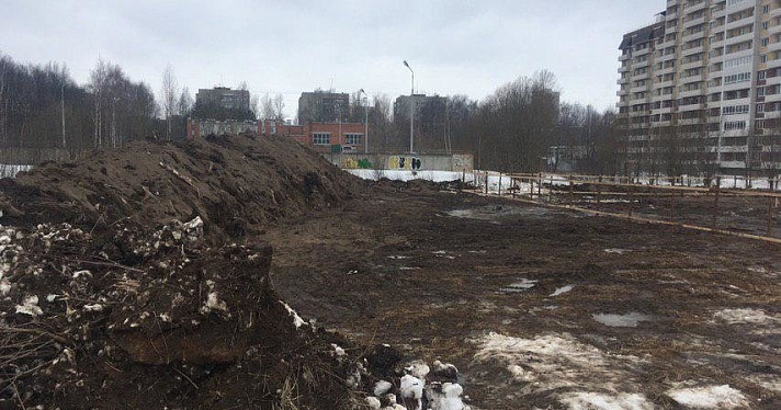 Замеры показали, что стройка рядом с Павловской рощей не нарушает границ природоохранной зоны_156843