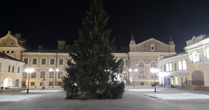 Администрация Рыбинска прокомментировала спиленную в черте города ель для Красной площади_169656
