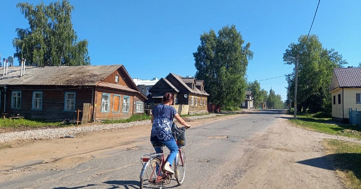 Предупреждение! В Ярославле прогнозируют повышение количества пыльцы