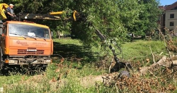 Рыбинцы решили снять с Карякинского парка статус особо охраняемого