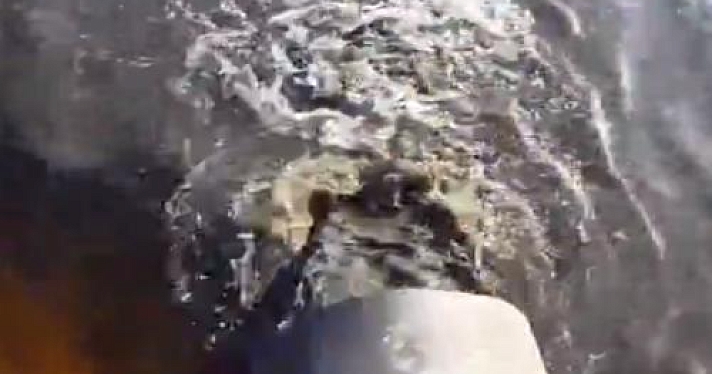 Ярославцы обнаружили, что в Волгу сливают грязные стоки: видео