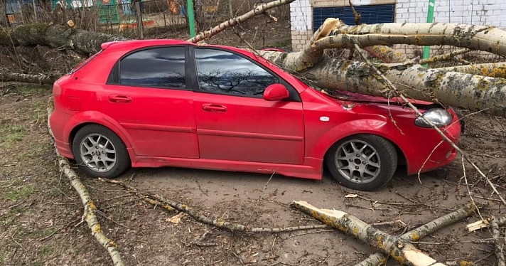 В Ярославле тополь повалило ветром на парковку