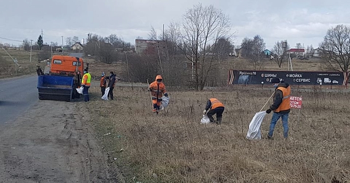 Дорогу к полигону «Скоково» начали чистить от мусора