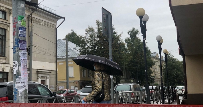 Синоптики рассказали ярославцам о погоде на выходные