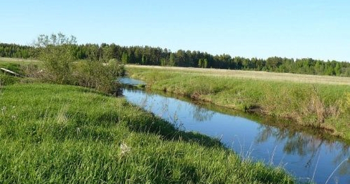 В Угличском районе подросток утонул в пруду