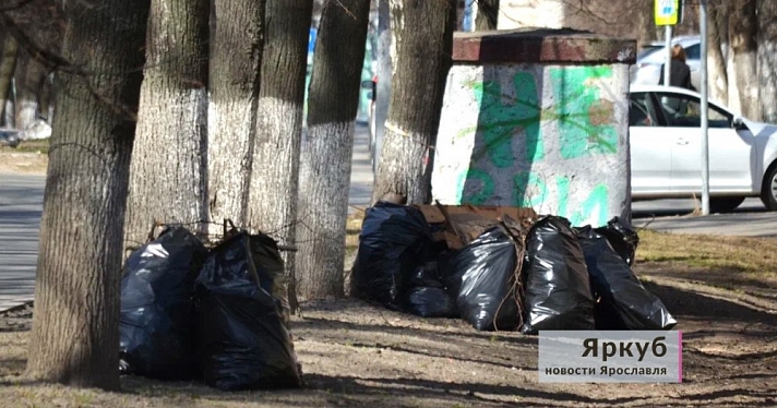 Собрали и оставили? Кто несет ответственность за вывоз мусора после субботников