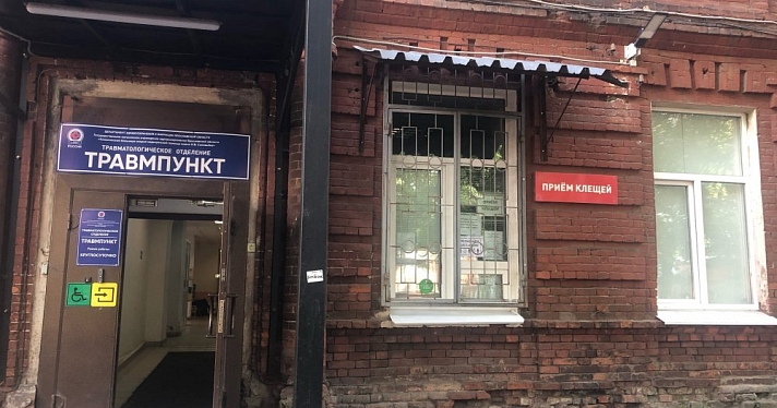 За неделю в Ярославской области 350 человек пострадали от укусов клещей